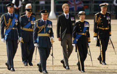 Prince Harry told Invictus veterans: ‘You don’t need to rely on a uniform’