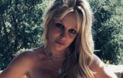 Britney Spears explains ‘joyous’ reason for raunchy Instagram posts