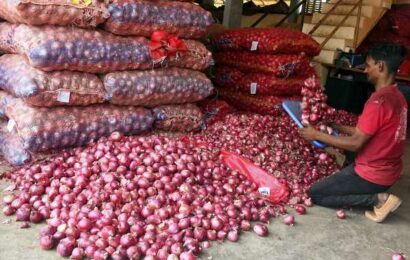 How Politicians Prevented Onion Tears